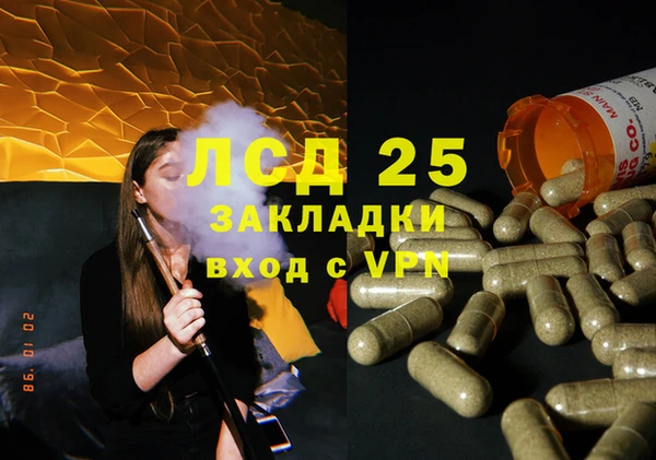 дживик Вязьма